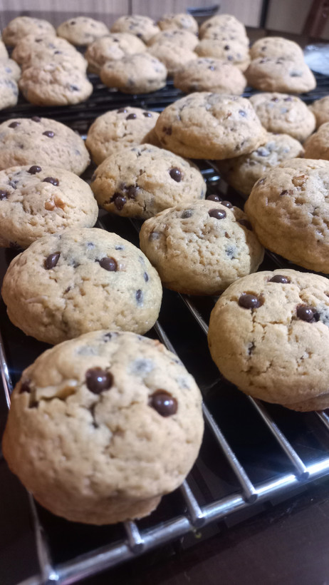 کوکی شکلاتی و گردو مادلن