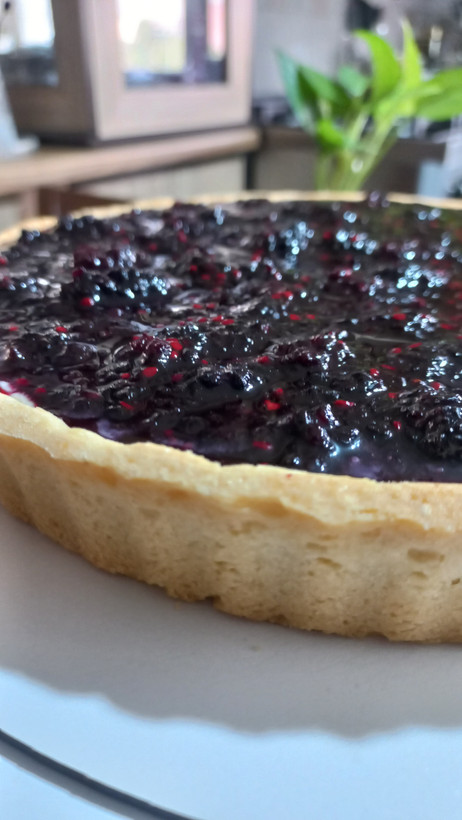 تارت میوه ای ، شاهتوت و تارت توت فرنگی 🍓🫐
