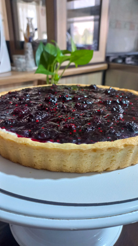 تارت میوه ای ، شاهتوت و تارت توت فرنگی 🍓🫐